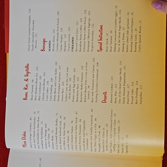 Retro Fiesta 'A Gringo's Guide to Mexican Party Planning' book Geraldine Duncan - Picture 11 of 16